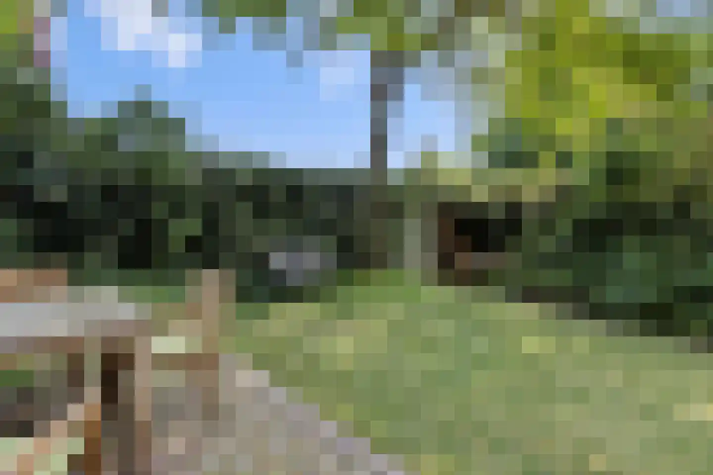 Aartshertogenlaan 419 's-Hertogenbosch thumbnail 16