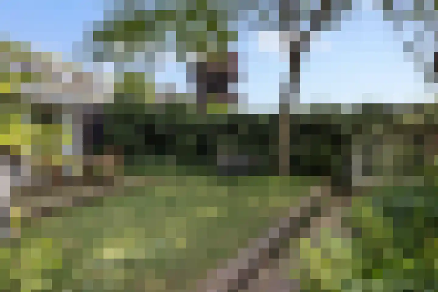 Aartshertogenlaan 419 's-Hertogenbosch thumbnail 17