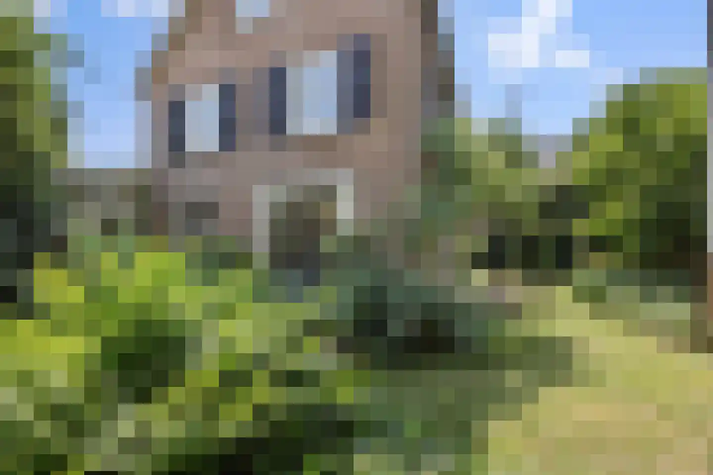 Aartshertogenlaan 419 's-Hertogenbosch thumbnail 19