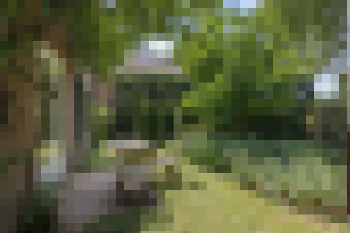 Aartshertogenlaan 419 's-Hertogenbosch thumbnail 21