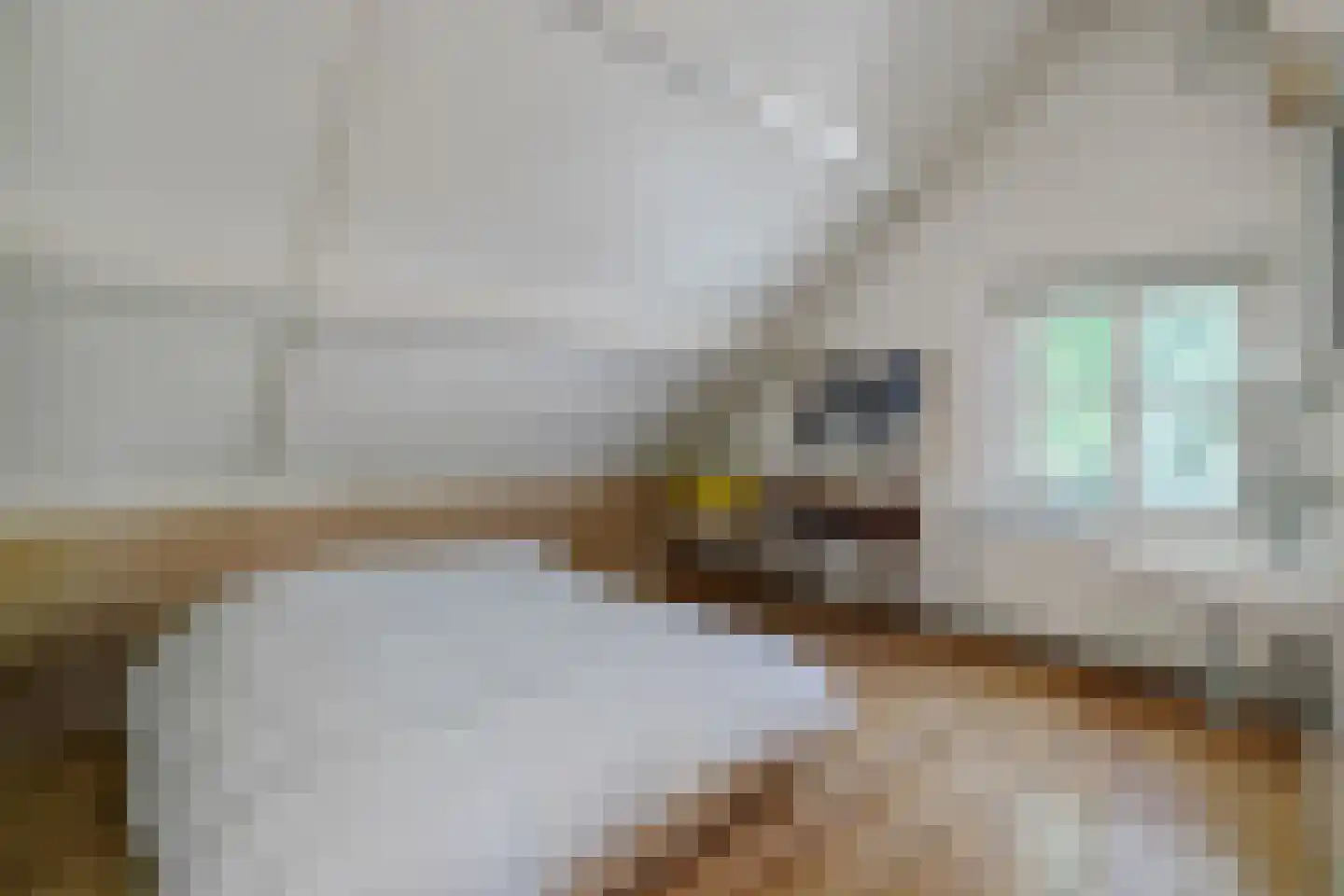 Aartshertogenlaan 419 's-Hertogenbosch thumbnail 30