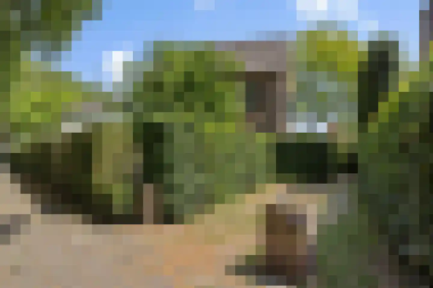 Aartshertogenlaan 419 's-Hertogenbosch thumbnail 35