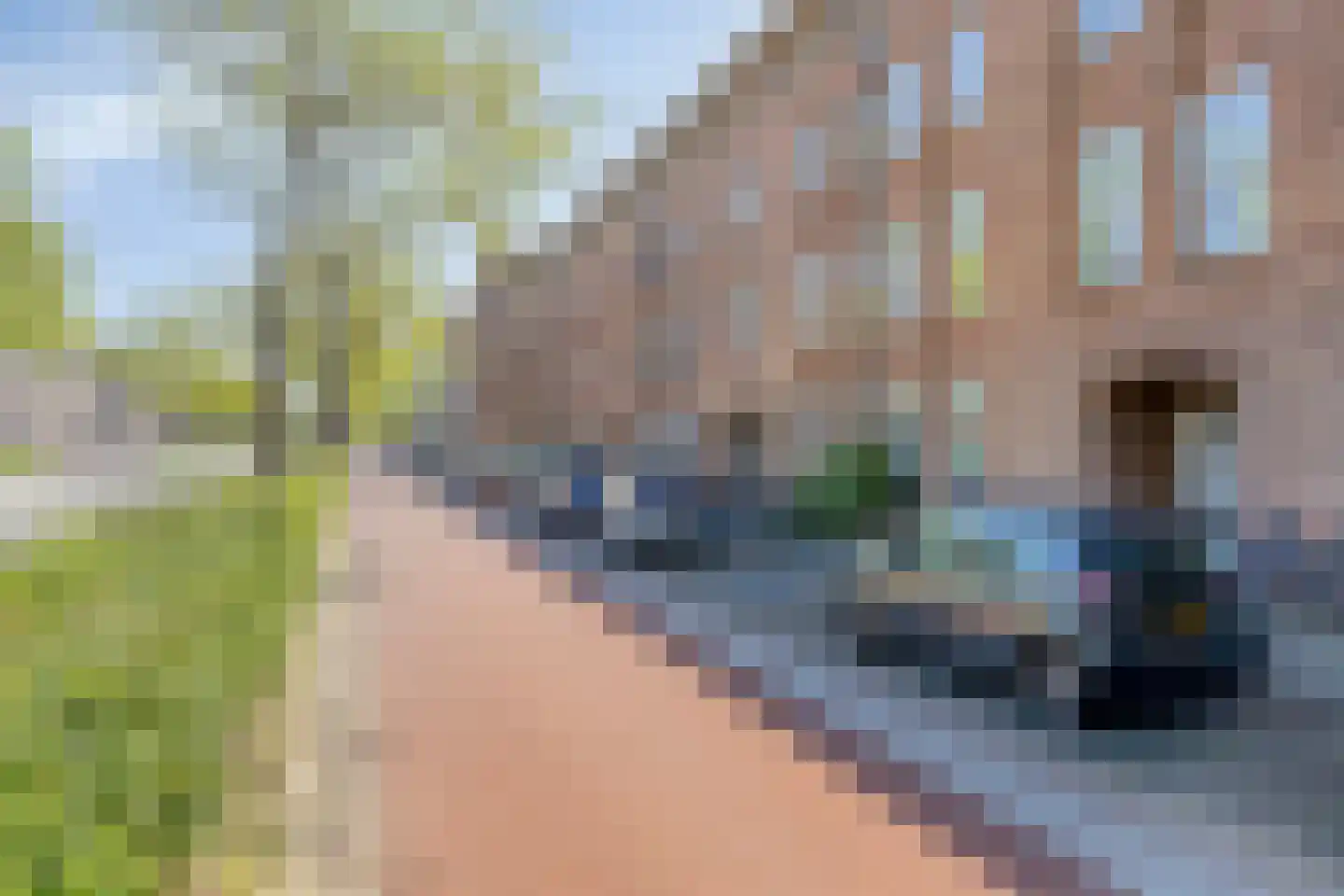 Aartshertogenlaan 59 's-Hertogenbosch thumbnail 33
