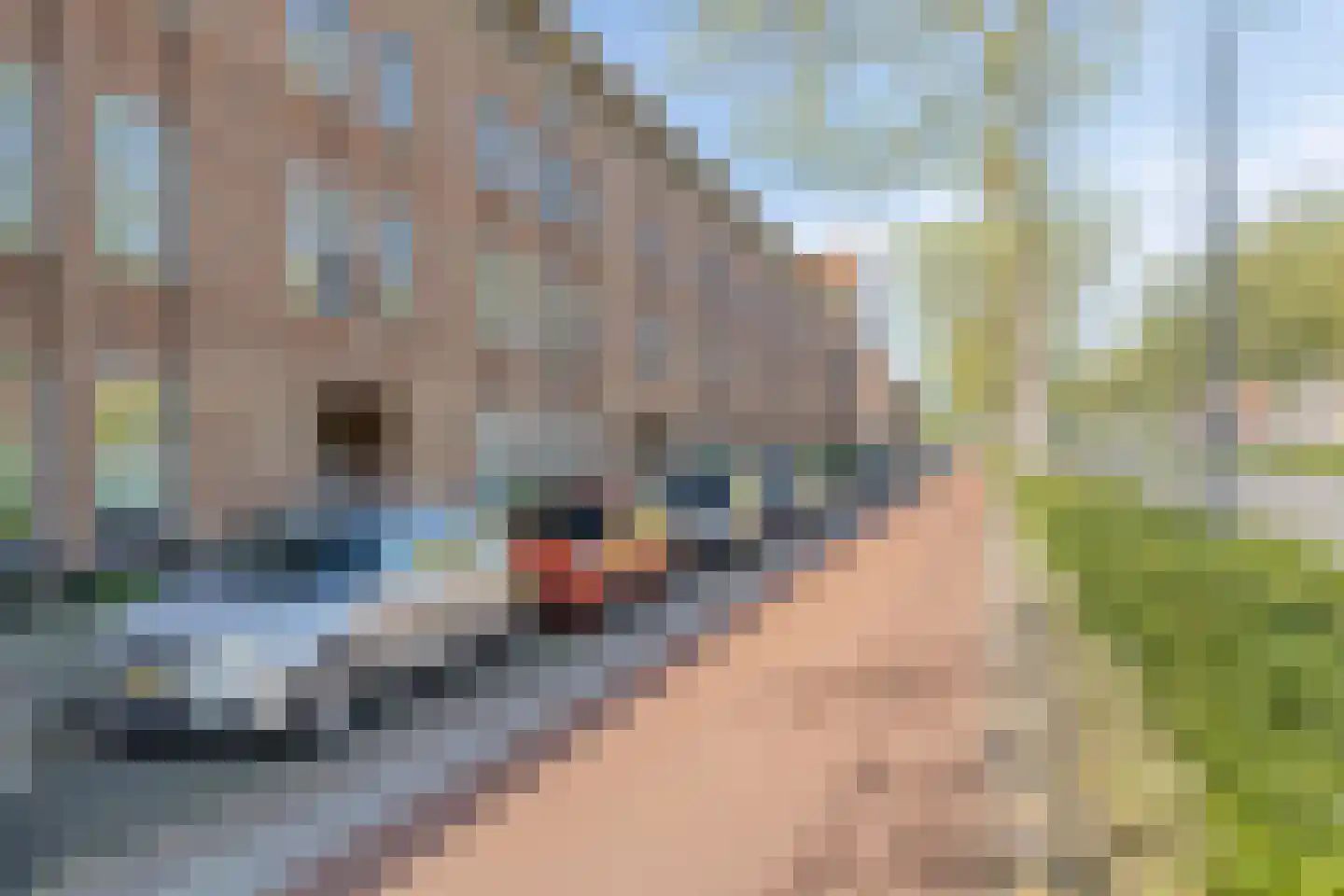 Aartshertogenlaan 59 's-Hertogenbosch thumbnail 34