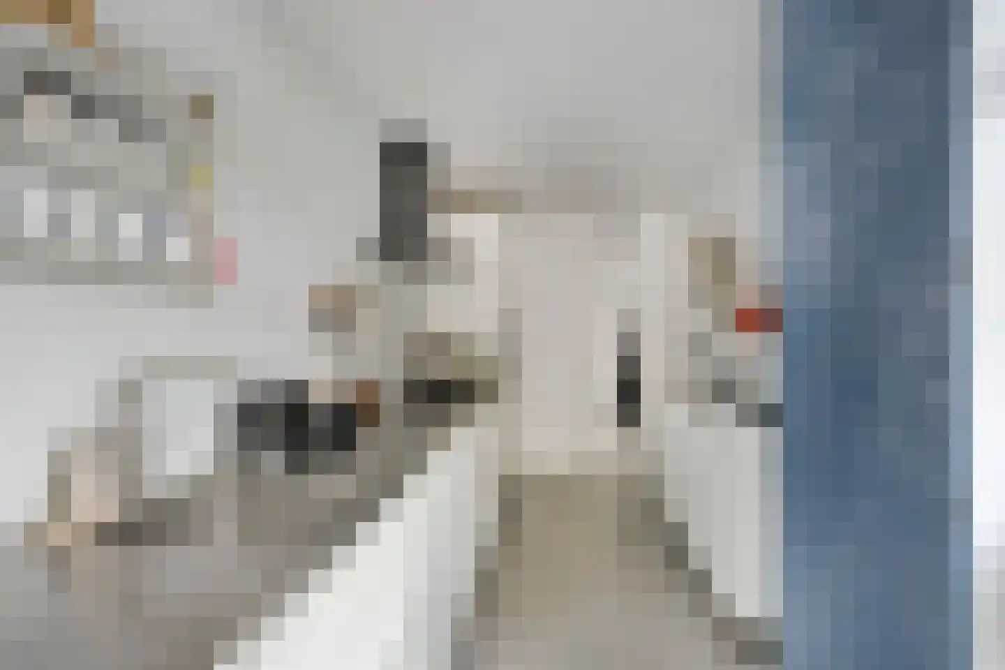 Aartshertogenlaan 61 's-Hertogenbosch thumbnail 16