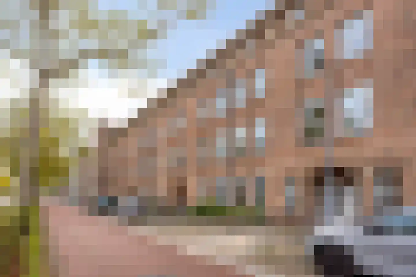 Aartshertogenlaan 61 's-Hertogenbosch thumbnail 33