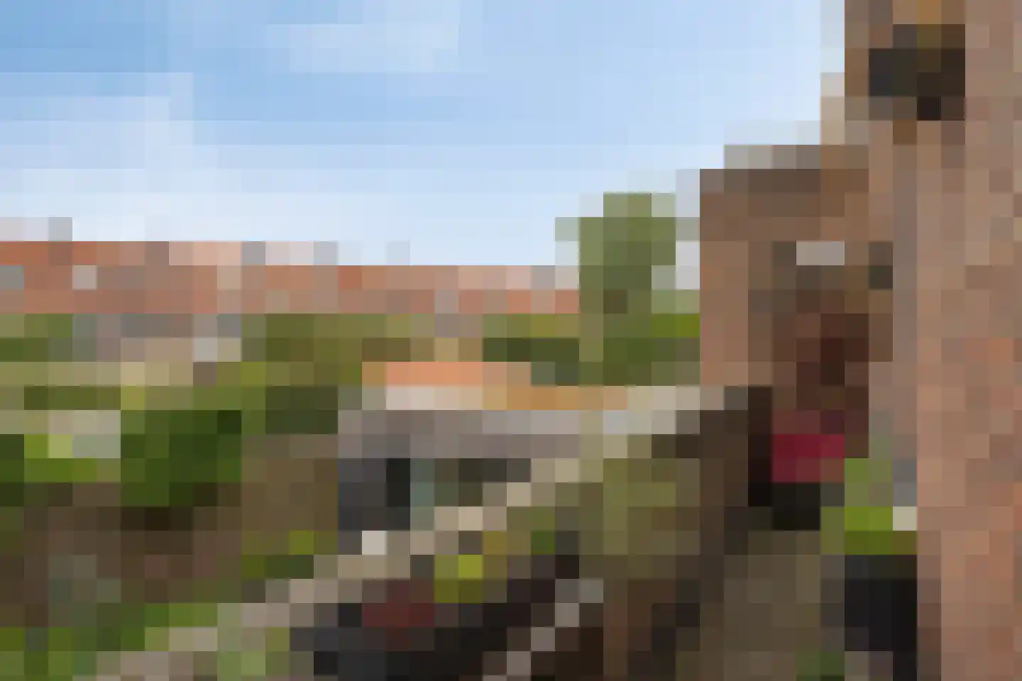Aartshertogenlaan 83 's-Hertogenbosch thumbnail 22