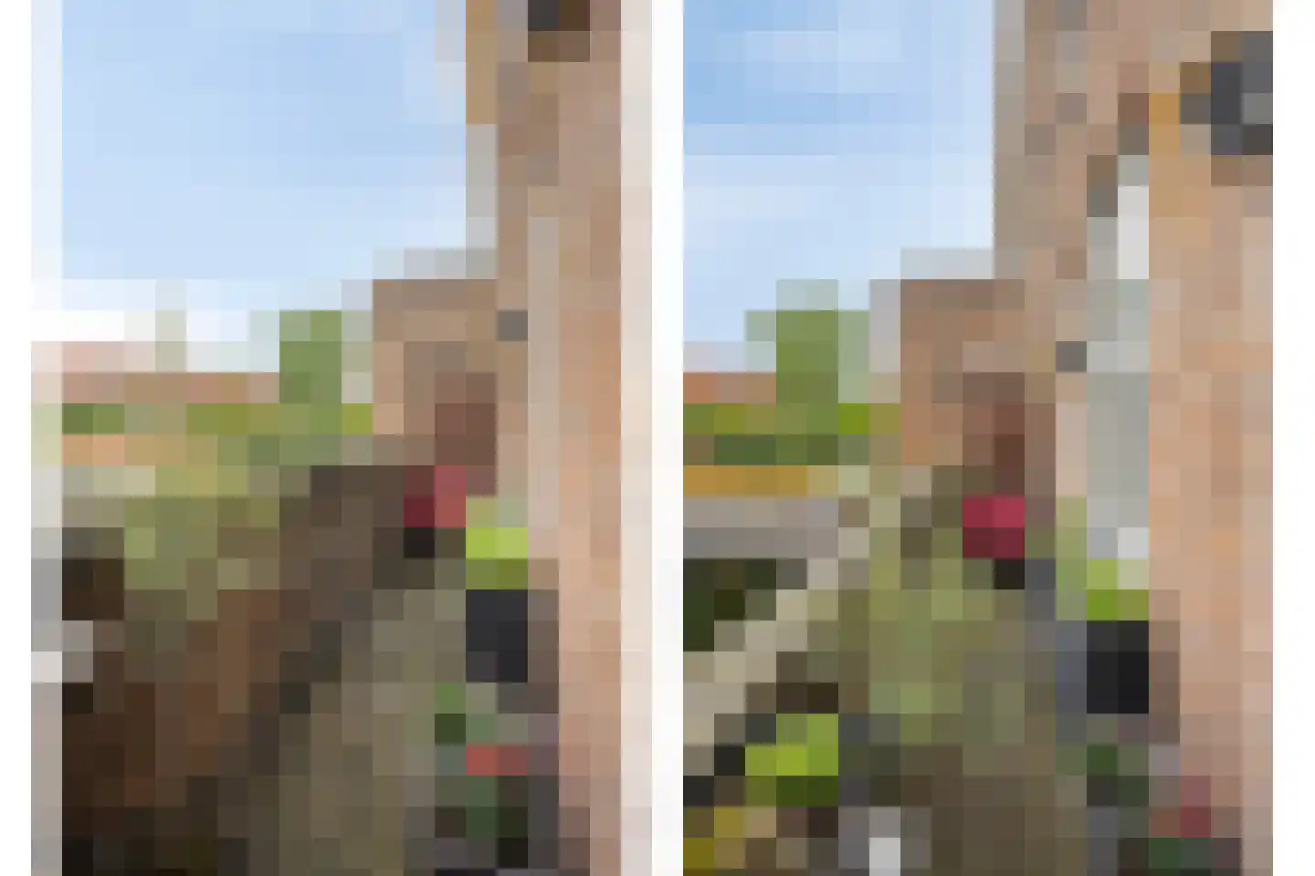 Aartshertogenlaan 83 's-Hertogenbosch thumbnail 25