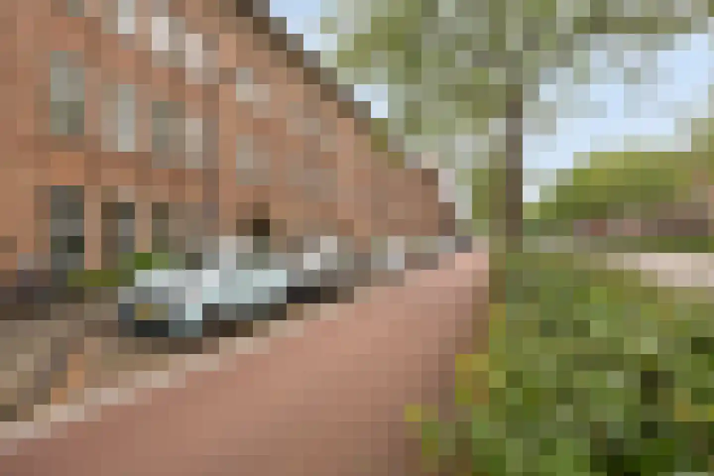 Aartshertogenlaan 83 's-Hertogenbosch thumbnail 32