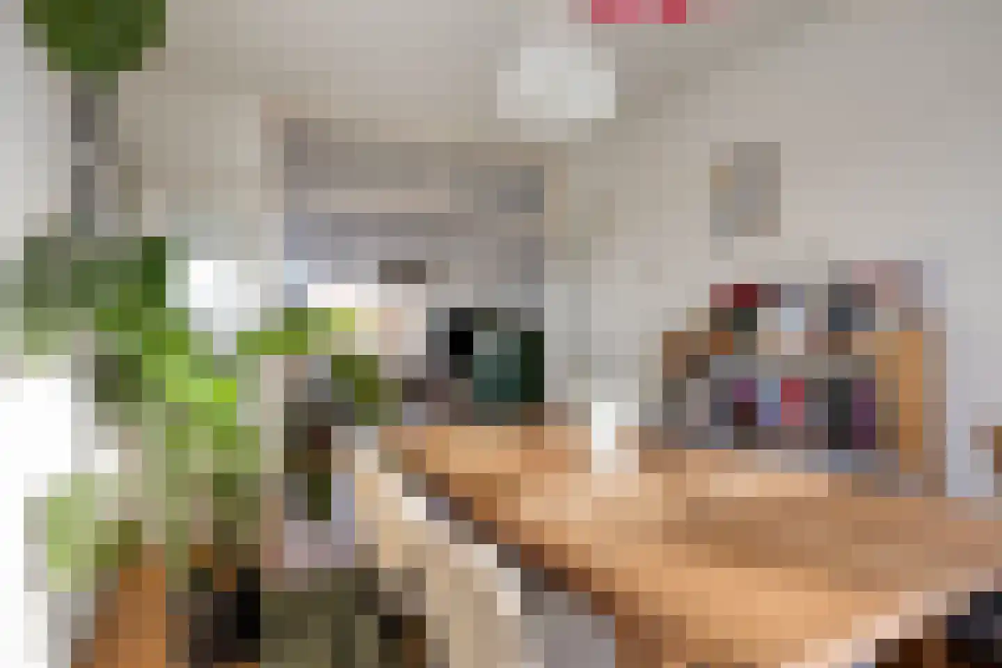 Aartshertogenlaan 95 's-Hertogenbosch thumbnail 16