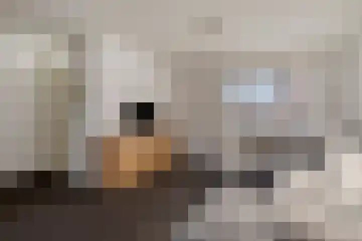 Aartshertogenstraat 72 Maastricht thumbnail 6