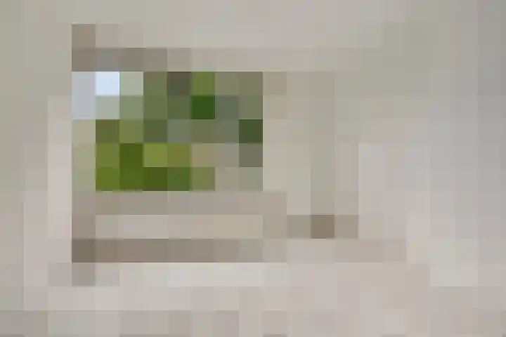 Aartswaardenstraat 10 Dussen thumbnail 10
