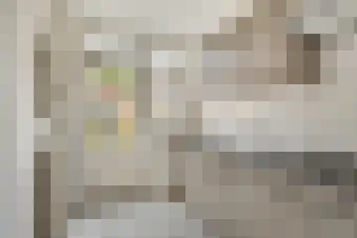 Aartswaardenstraat 10 Dussen thumbnail 14