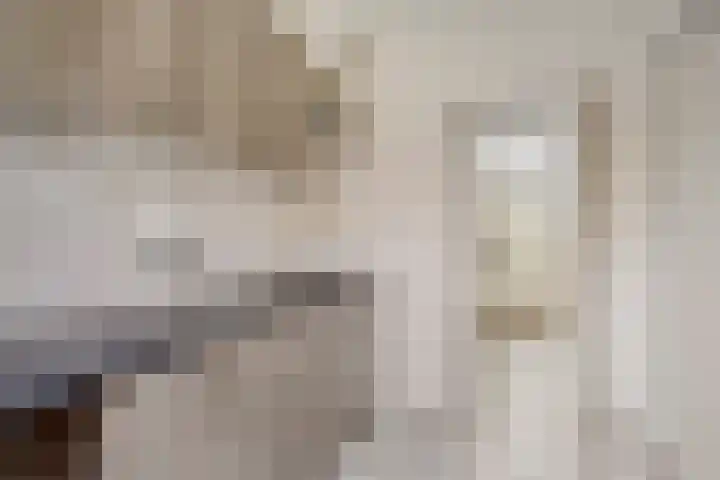 Aartswaardenstraat 10 Dussen thumbnail 15