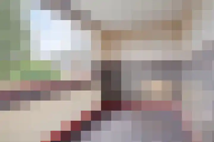 Aartswaardenstraat 10 Dussen thumbnail 18