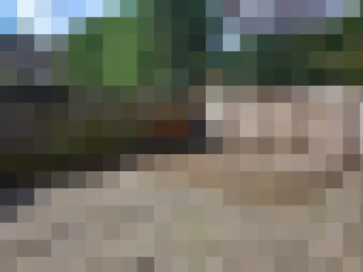 Aartswaardenstraat 10 Dussen thumbnail 30