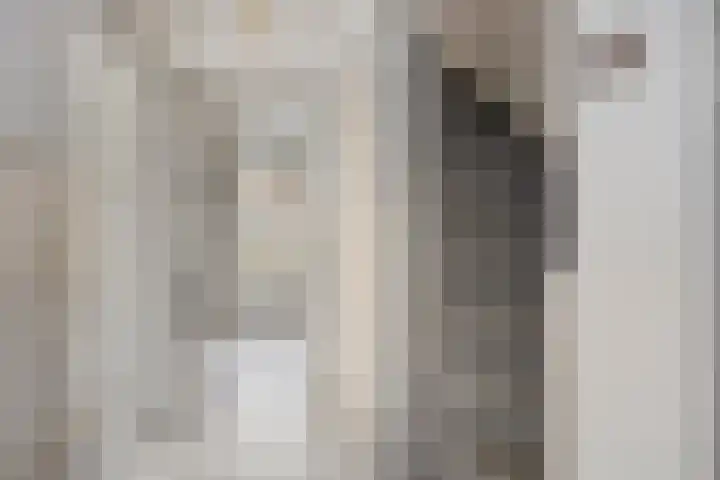 Aartswaardenstraat 10 Dussen thumbnail 8