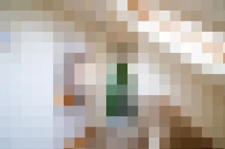 Aarweg 4 Nunspeet thumbnail 15