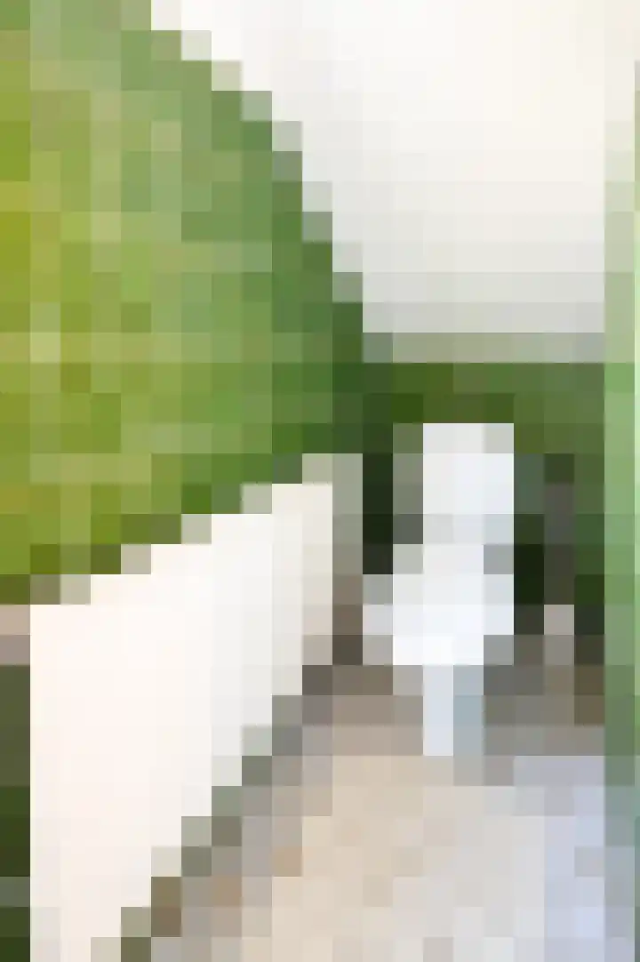 Aarweg 4 Nunspeet thumbnail 16