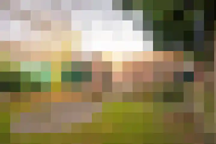 Aarweg 4 Nunspeet thumbnail 23