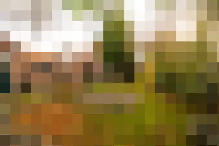 Aarweg 4 Nunspeet thumbnail 26