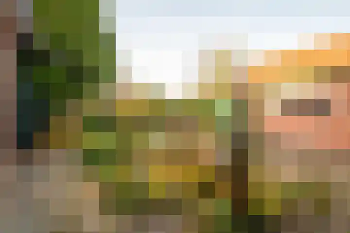 Aarweg 4 Nunspeet thumbnail 28