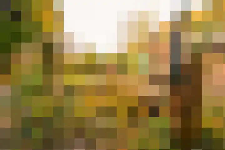 Aarweg 4 Nunspeet thumbnail 4