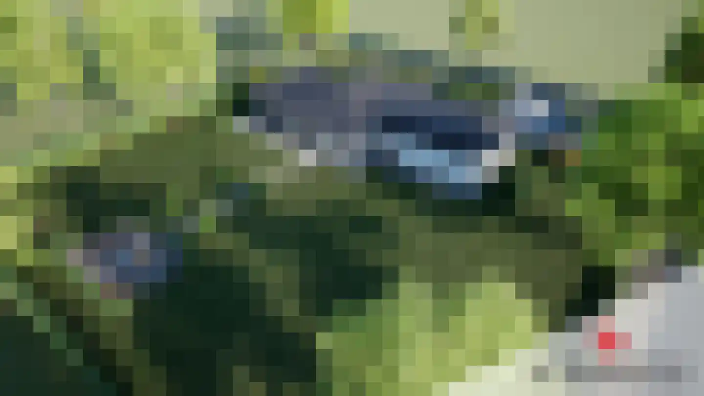 Aasingel 14 Steenwijk thumbnail 11