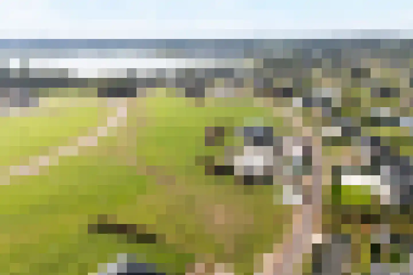 Aasingel 14 Steenwijk thumbnail 14