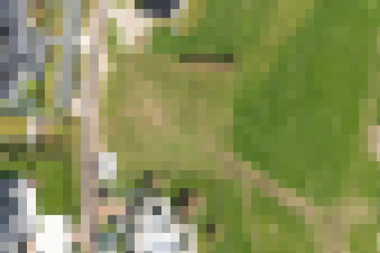 Aasingel 14 Steenwijk thumbnail 17