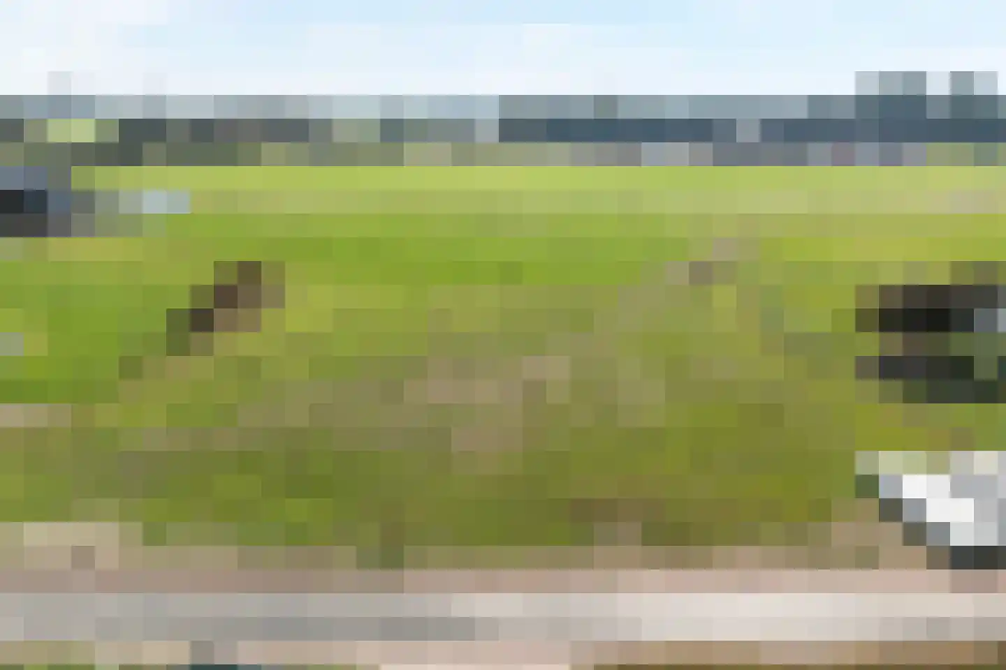 Aasingel 14 Steenwijk thumbnail 18