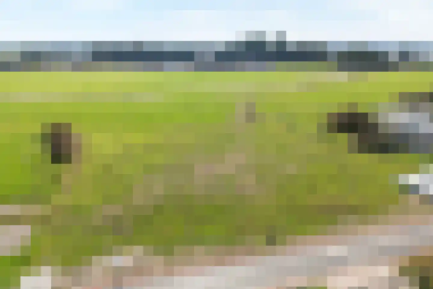 Aasingel 14 Steenwijk thumbnail 19