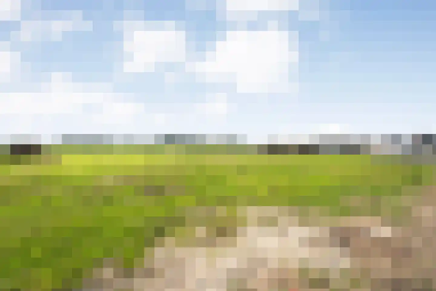Aasingel 14 Steenwijk thumbnail 20
