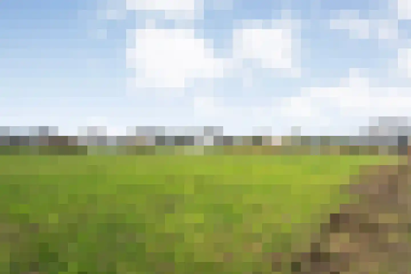 Aasingel 14 Steenwijk thumbnail 23
