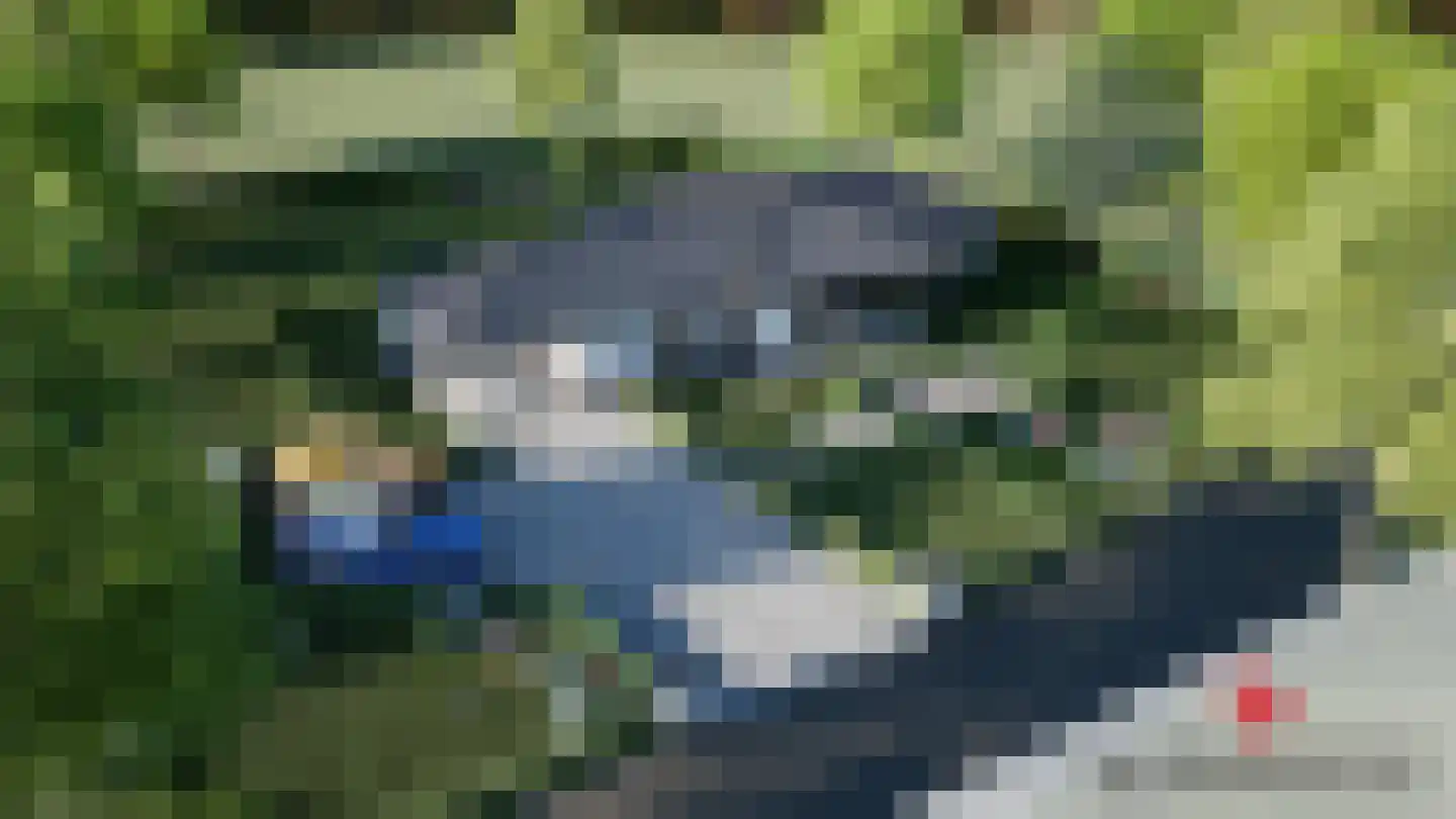 Aasingel 14 Steenwijk thumbnail 4
