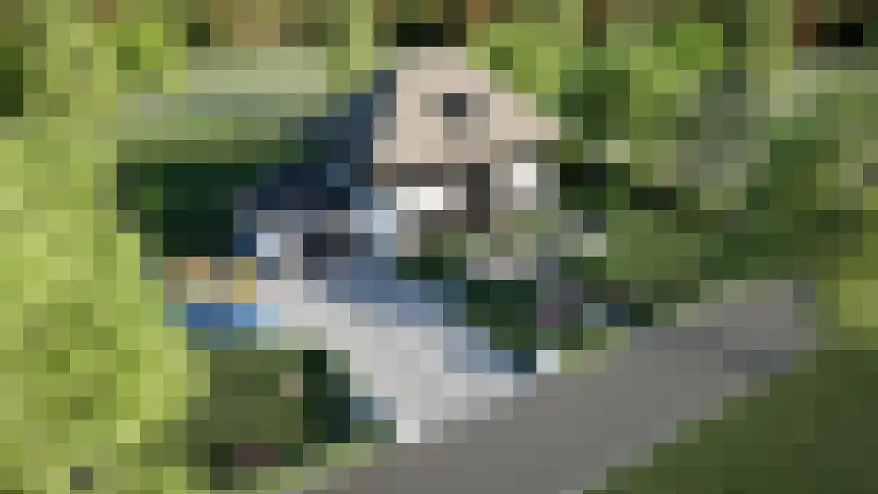 Aasingel 21 Steenwijk thumbnail 11
