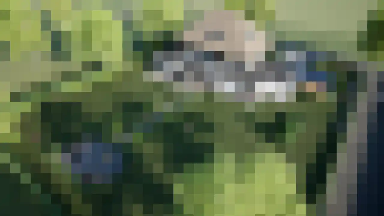 Aasingel 21 Steenwijk thumbnail 12