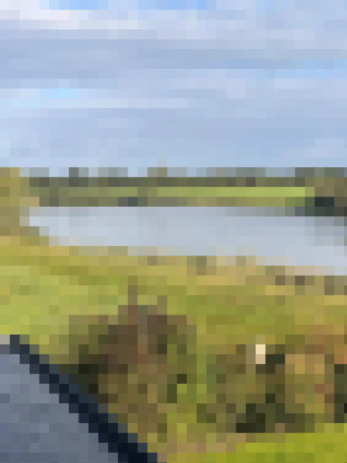 Aasingel 21 Steenwijk thumbnail 19