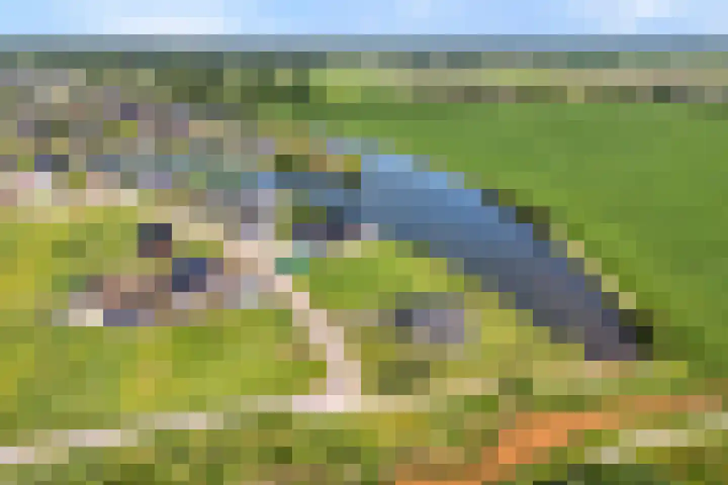 Aasingel 21 Steenwijk thumbnail 6