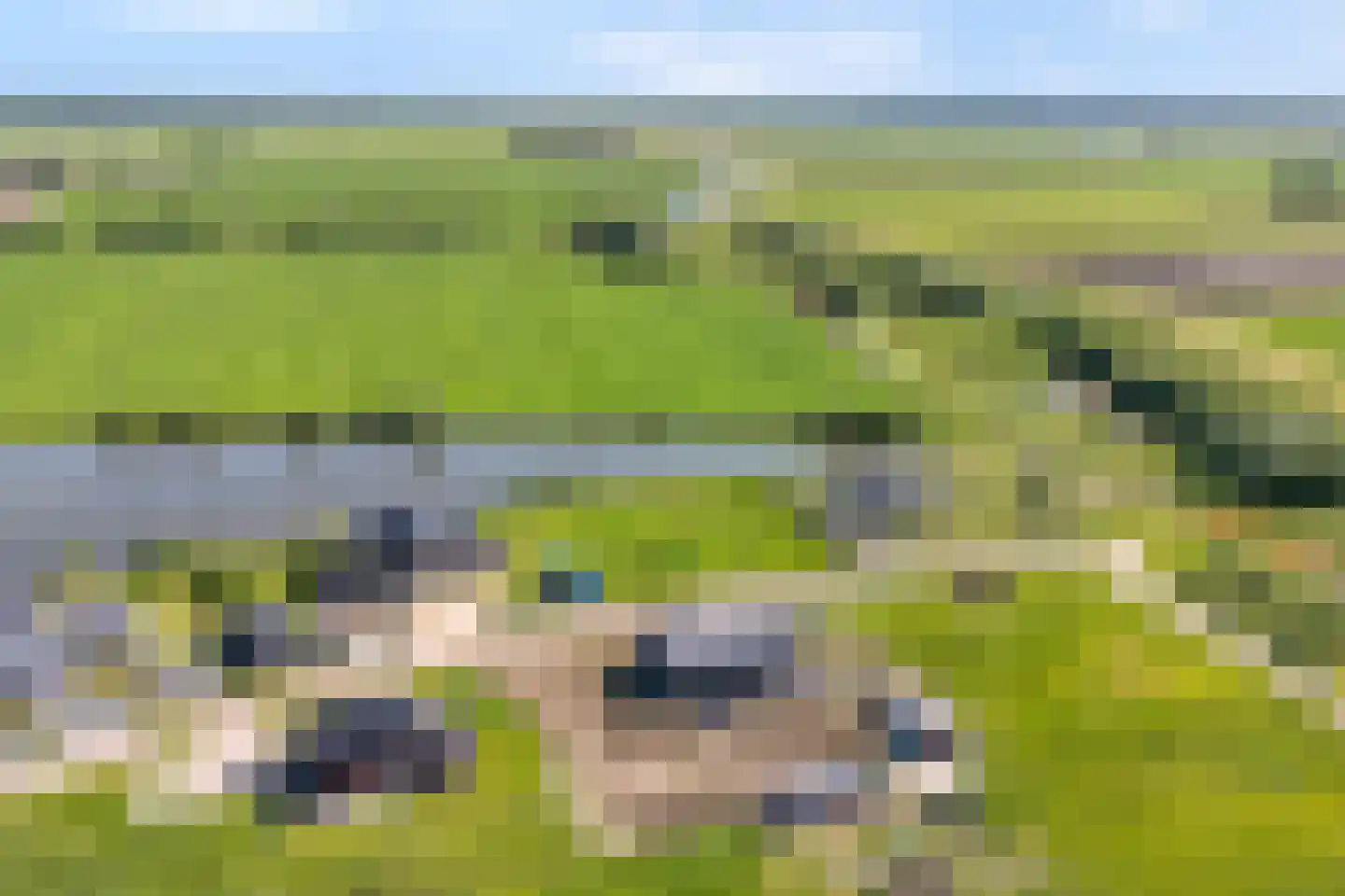 Aasingel 21 Steenwijk thumbnail 8