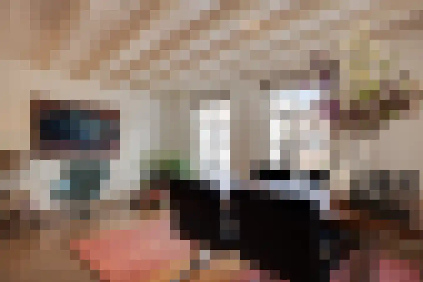 Aastraat 1 's-Hertogenbosch thumbnail 10