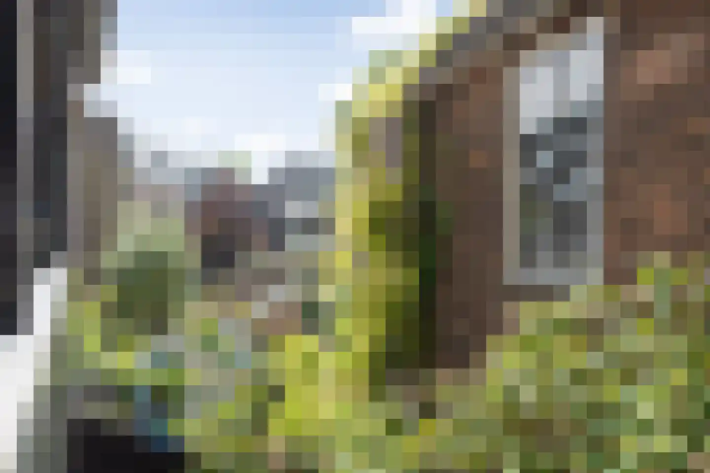 Aastraat 1 's-Hertogenbosch thumbnail 14