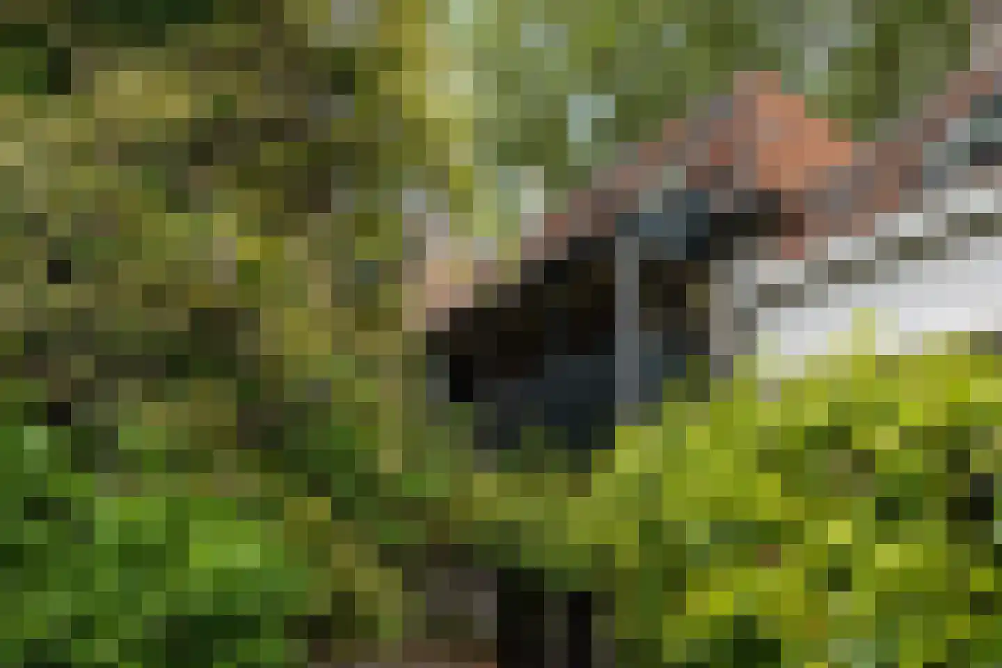 Aastraat 1 's-Hertogenbosch thumbnail 15