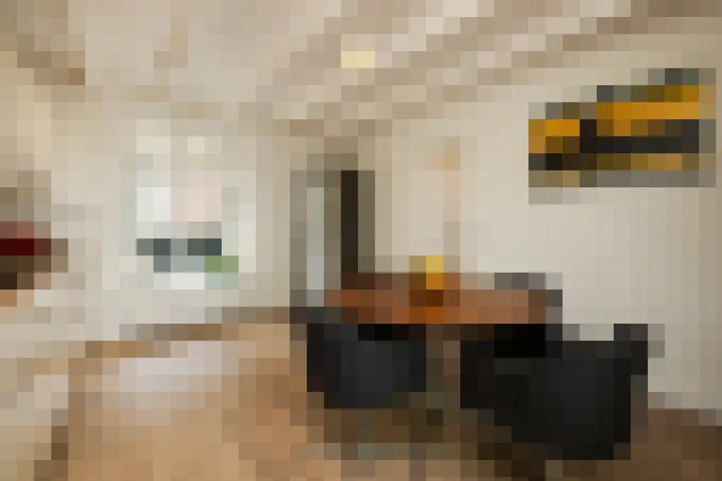 Aastraat 1 's-Hertogenbosch thumbnail 21