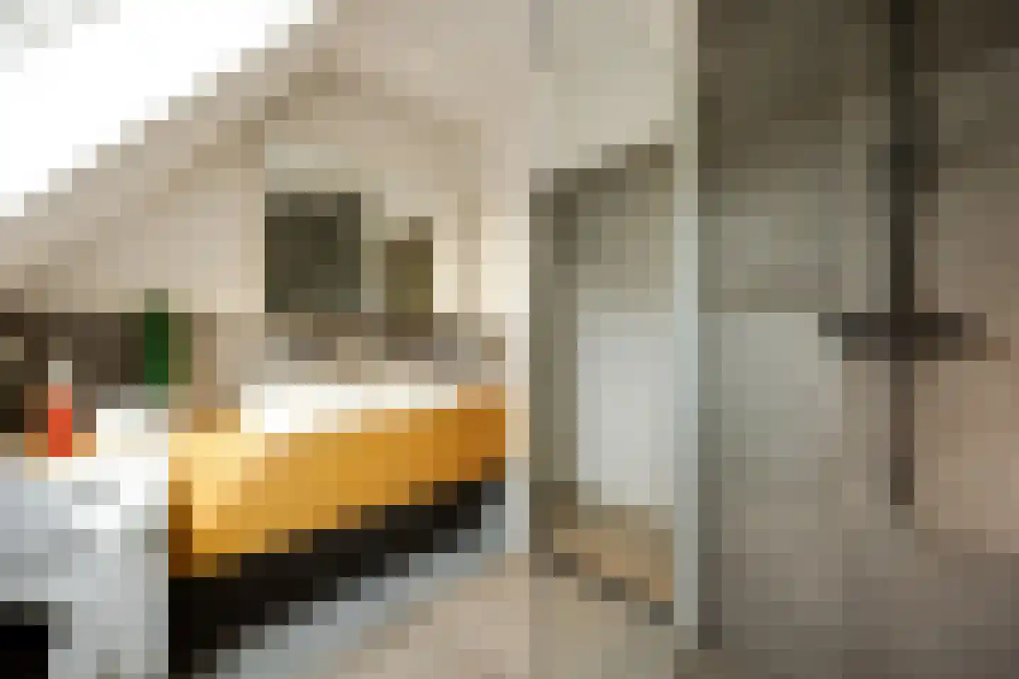 Aastraat 1 's-Hertogenbosch thumbnail 28