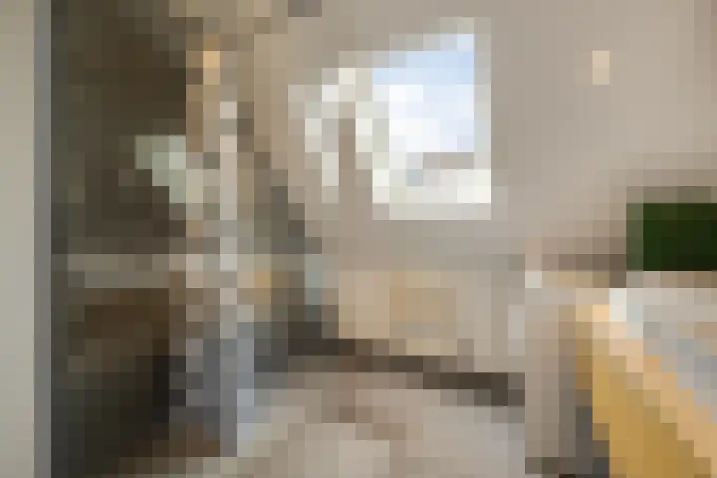 Aastraat 1 's-Hertogenbosch thumbnail 29