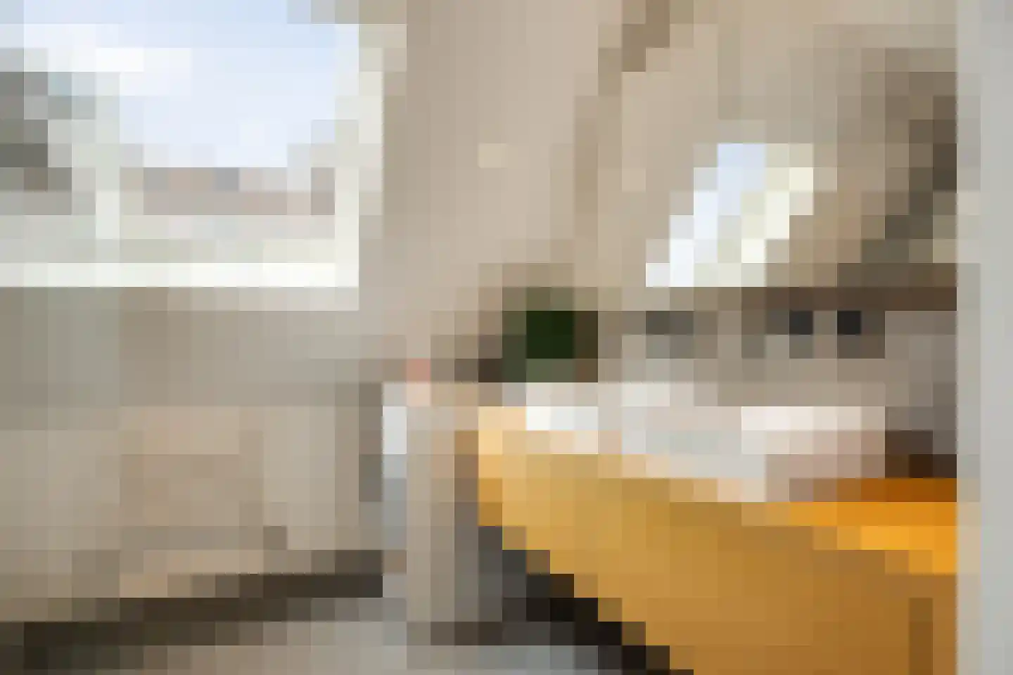 Aastraat 1 's-Hertogenbosch thumbnail 30