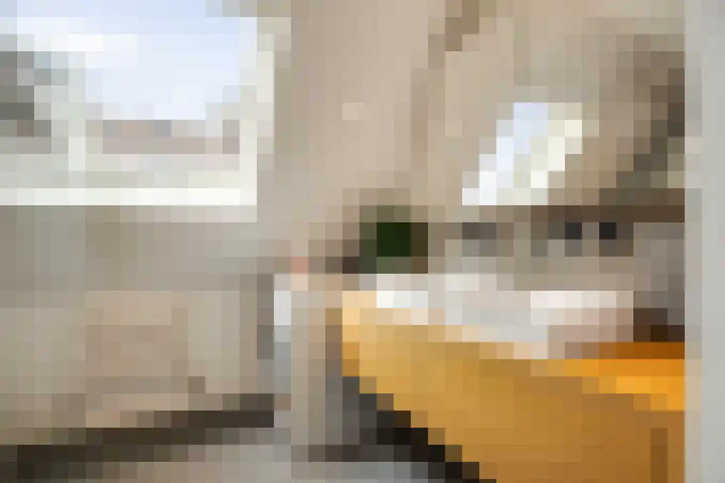 Aastraat 1 's-Hertogenbosch thumbnail 30