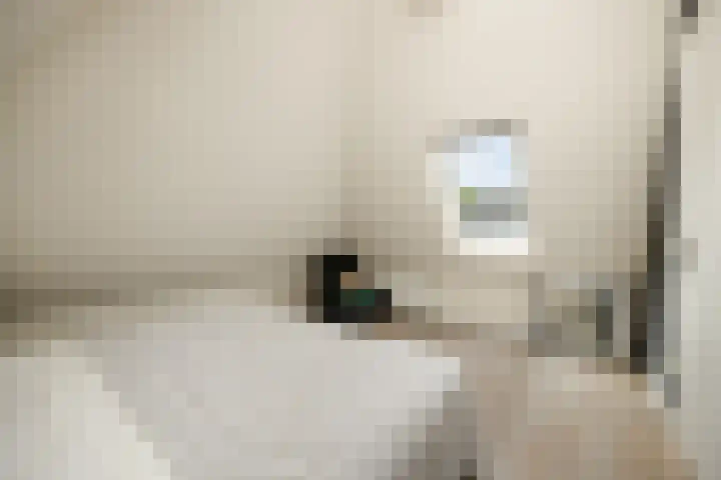 Aastraat 1 's-Hertogenbosch thumbnail 33