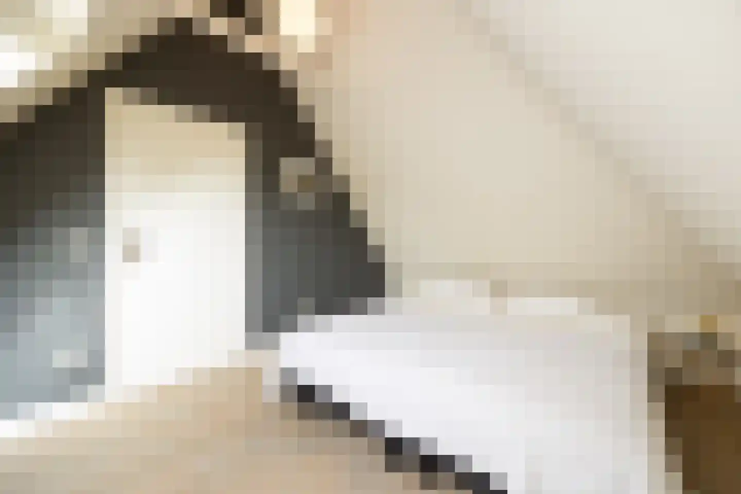 Aastraat 1 's-Hertogenbosch thumbnail 34